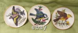1981 LE Franklin Mint 25 SONGBIRDS OF THE WORLD Mini Plates Set Shelf COA's MINT