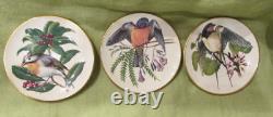 1981 LE Franklin Mint 25 SONGBIRDS OF THE WORLD Mini Plates Set Shelf COA's MINT