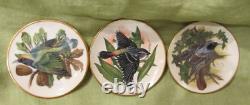 1981 LE Franklin Mint 25 SONGBIRDS OF THE WORLD Mini Plates Set Shelf COA's MINT