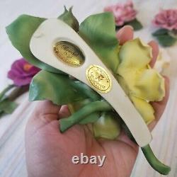 1985 Franklin Mint Capodimonte 12 Months of Roses Porcelain Flowers Italy EUC