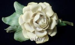 1985 Franklin Mint Porcelain Flower Set of 12 Capodimonte Italy with Display Stand