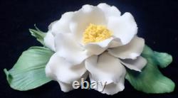 1985 Franklin Mint Porcelain Flower Set of 12 Capodimonte Italy with Display Stand