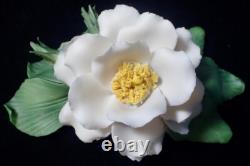 1985 Franklin Mint Porcelain Flower Set of 12 Capodimonte Italy with Display Stand