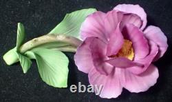 1985 Franklin Mint Porcelain Flower Set of 12 Capodimonte Italy with Display Stand