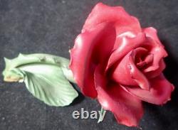 1985 Franklin Mint Porcelain Flower Set of 12 Capodimonte Italy with Display Stand