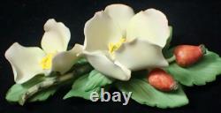 1985 Franklin Mint Porcelain Flower Set of 12 Capodimonte Italy with Display Stand
