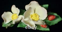 1985 Franklin Mint Porcelain Flower Set of 12 Capodimonte Italy with Display Stand