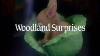 1986 Franklin Mint Woodland Suprises Tv Commercial