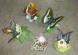 19 Vintage Franklin Mint Porcelain Butterflies of the World with 3 Display Cases