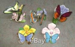 19 Vintage Franklin Mint Porcelain Butterflies of the World with 3 Display Cases