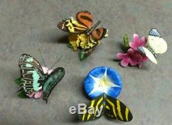 19 Vintage Franklin Mint Porcelain Butterflies of the World with 3 Display Cases