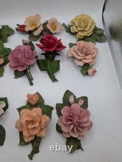 Antique Franklin Mint The 12 Months of Roses Porcelain Sculpture Collection