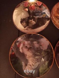 Collectible Cat Plates 6 Nancy Matthews Cat Plates Franklin Mint