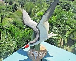 Collectible S. Woolever Franklin Mint The Black Skimmer Porcelain Bird Figurine