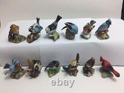 Complete Set of 12 Vintage Franklin Mint Garden Birds of the World 1982-83 Boxed