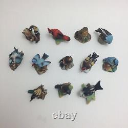 Complete Set of 12 Vintage Franklin Mint Garden Birds of the World 1982-83 Boxed