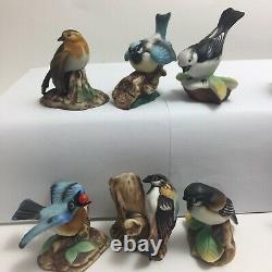 Complete Set of 12 Vintage Franklin Mint Garden Birds of the World 1982-83 Boxed