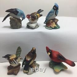 Complete Set of 12 Vintage Franklin Mint Garden Birds of the World 1982-83 Boxed