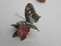 FRANKLIN MINT Butterflies Of The World 7 lot flowers porcelain Monarch