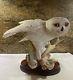 FRANKLIN MINT THE SNOWY OWL BY GEORGE MCMONIGLE PORCELAIN SCULPTURE withwood base