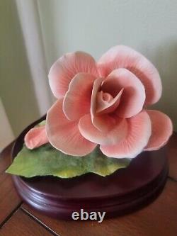 Franklin Mint Begonia Ronald Van Ruyckevelt 1988 Flower Figurine
