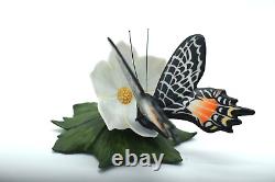 Franklin Mint Butterflies of the World Collection, Porcelain, Set of 19 withCerts