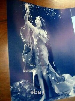 Franklin Mint Evening Star Spirit of the Night Passion 18 Doll /David Penfound