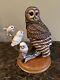 Franklin Mint George McMonigle Spotted Owl Bisque Porcelain Figure NO BOX