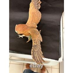 Franklin Mint Hand Painted Screech Owl Porcelain Statue George McMonigle
