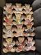 Franklin Mint Heirloom Recommendation Limited Ed Teddy Bear Shaped Plates Lot 12