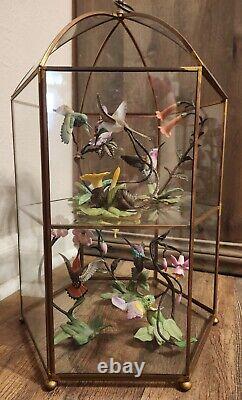 Franklin Mint Hummingbirds In Glass Case