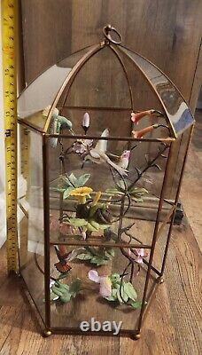 Franklin Mint Hummingbirds In Glass Case