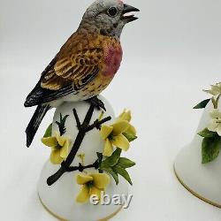 Franklin Mint Peter Barrett Porcelain Birds Bell 3 Pieces Hand-painted Vintage