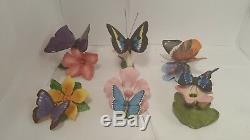 Franklin Mint Porcelain Butterflies of the World 14 with Display Case