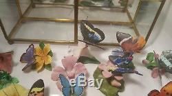 Franklin Mint Porcelain Butterflies of the World 14 with Display Case