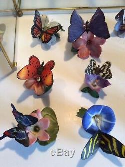 Franklin Mint Porcelain'The Butterflies of the World' Collection + Cabinet Mint