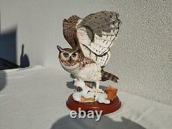 Franklin Mint The Great Horned Owl Porcelain Excellent Condition