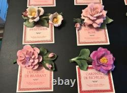 Franklin Mint The Twelve Months of Roses Porcelain Sculpture Collection