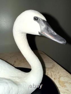 Franklin Mint Under Her Wing Trumpeter Swan Family 1989 Bisque Sculpture COA