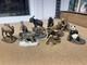 Franklin Mint Wildlife Preservation Trust Collection Sculptures Lot Of 10