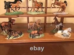 Franklin Mint World Of The Horse Sculpture Collection With Display Shelf