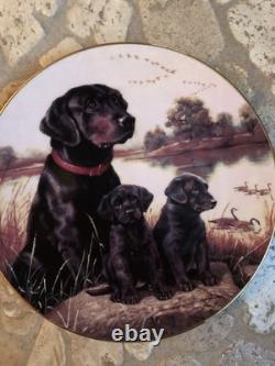 Franklin Mint and Hamilton Collection Decorative Plates. 20 Plates