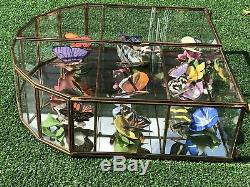 Gorgeous Franklin Mint Porcelain Butterfly Collection & Mirrored Display Case