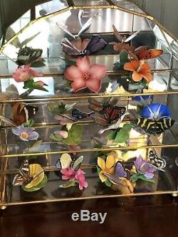 Gorgeous Franklin Mint Porcelain Butterfly Collection & Mirrored Display Case