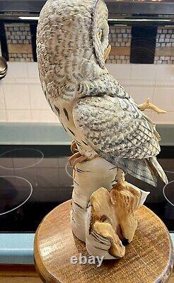 Great Grey Owl? Franklin Mint George McMonigle MCM Euc Beautiful? Large