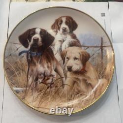 Limited Edition Porcelain Round Collector Plate Dogs Theme, Multicolor