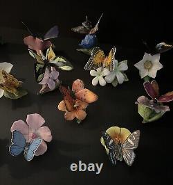 Lot Of 22- Franklin Mint Butterflies Of The World. Mint Condition