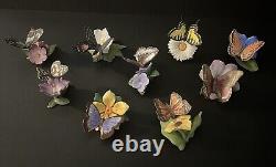 Lot Of 22- Franklin Mint Butterflies Of The World. Mint Condition