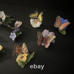 Lot Of 22- Franklin Mint Butterflies Of The World. Mint Condition