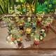 RARE Complete Set of 12 Franklin Mint House of Faberge Imperial Trees 1991 COA